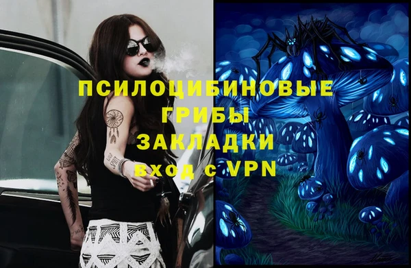 стафф Алексеевка