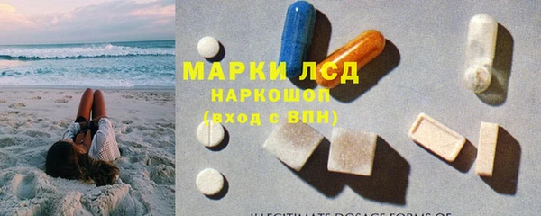 гашик Алзамай