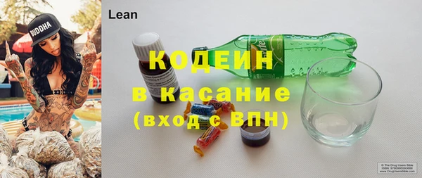 гашик Алзамай