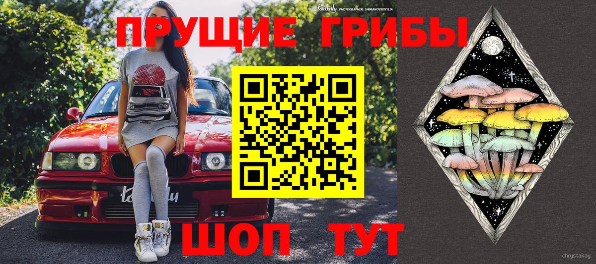 Мирный  Псилоцибиновые грибы прущие грибы  Вход с VPN 